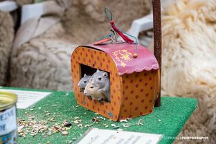 Folklorum_18_marcel_tschamke__85_