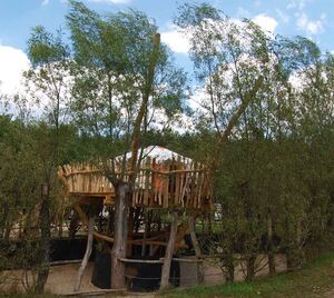 Kulturinsel Einsiedel- Baumjurte Kulturinsel Einsiedel- Baumjurte