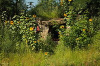 Dragomirs-Erdversteck_web