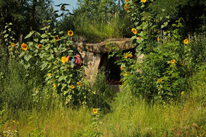 Dragomirs_Erdversteck