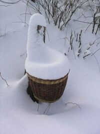 Gr__en_nderungEr_ffnungstag_M_rz_060000041_02