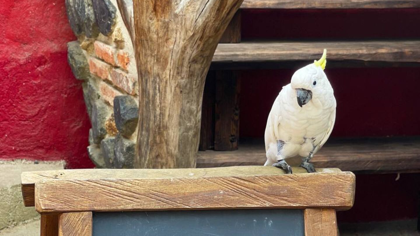 photo_2025-05-05_10-12-05