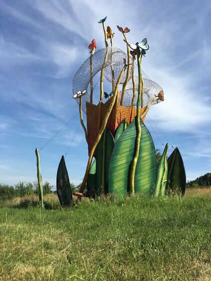 Saalfeld_Wunderblume__1_