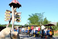 Ciuchicia Bahn Ciuchicia Bahn