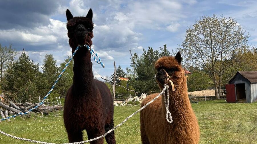 photo_15_2025-05-05_10-04-31