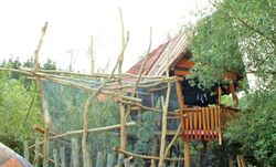 Vögelbaumbett Kulturinsel Einsiedel Vögelbaumbett Abenteuernacht Kulturinsel Einsiedel