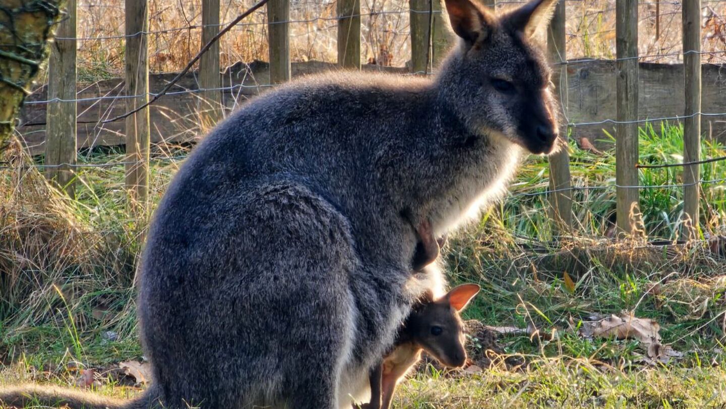 photo_2025-05-05_10-09-38