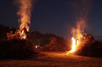 Funkelorum_2015__25_