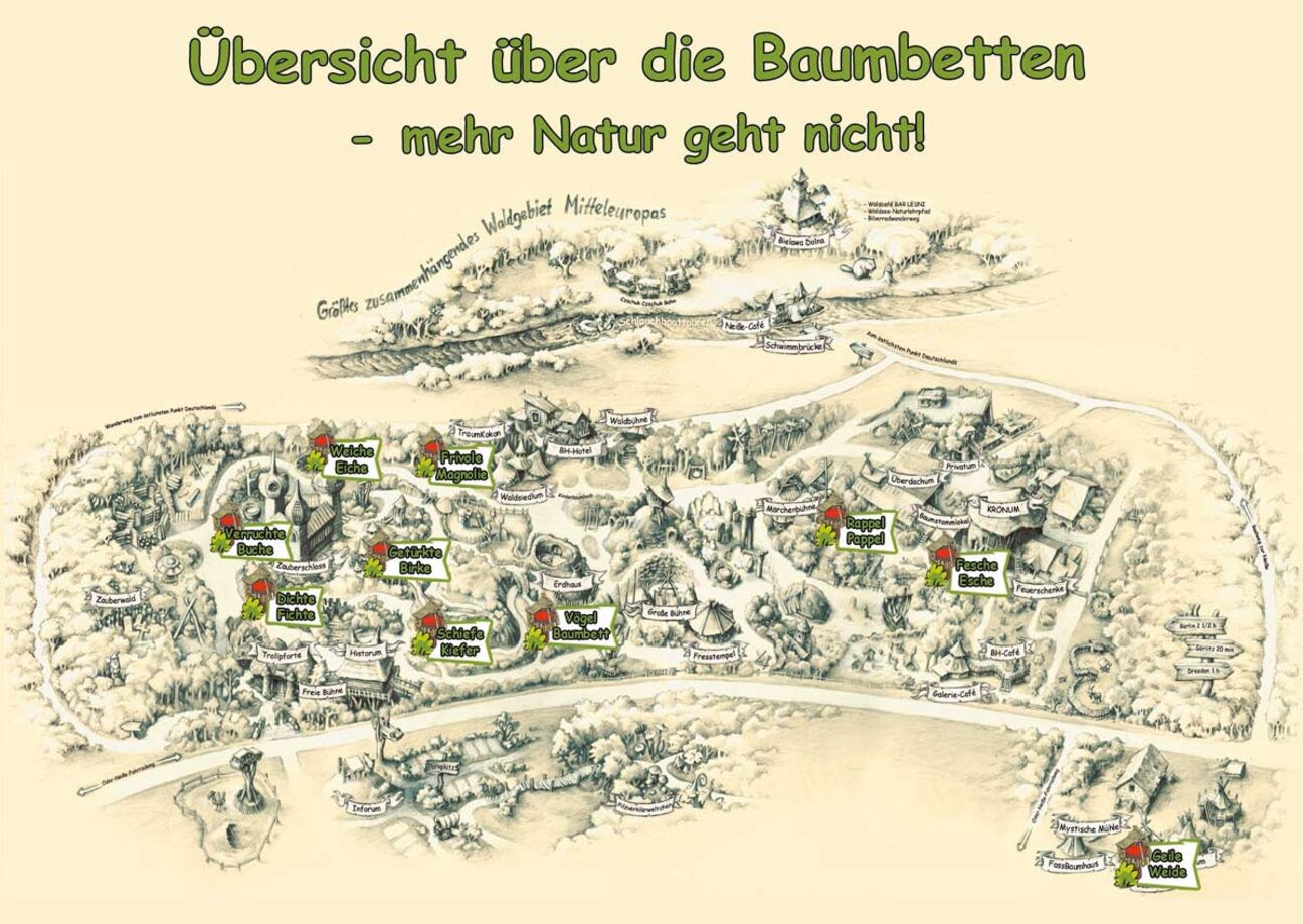 Baumbetten_Plan