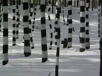 Gr__en_nderungEr_ffnungstag_M_rz_060000089_02