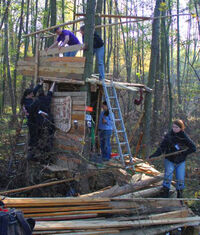 web_Balkenbrecher_SO_11_Uhr