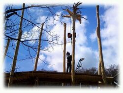 Kulturinsel_Fort_Fun_Buehne__3_