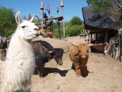 Kulturinsel_Baumhaus__26__03