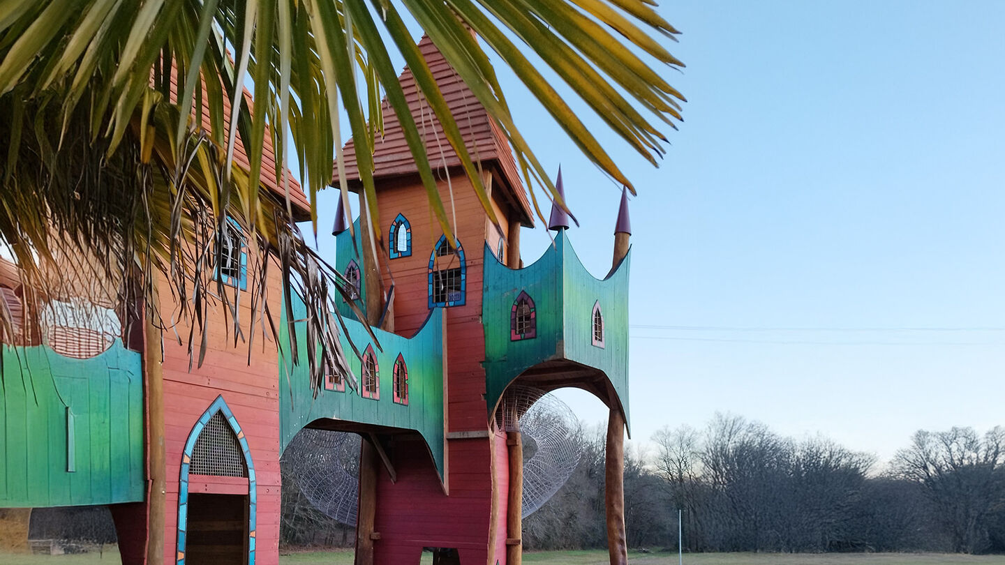 IMG_20250203_175012bearb2