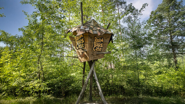 Baumhauscafe__111_