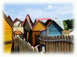 Franceloc Coquelicots