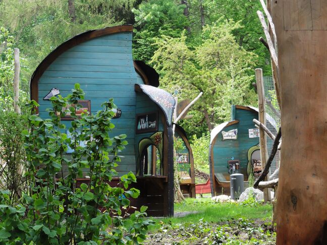 Hainich_Fagati_2020__55_