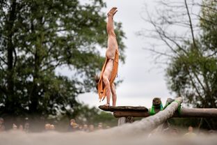 _DSC3080ILCE-7RM3_DanielL