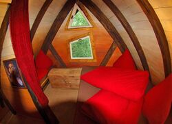 Vögelbaumbett Kulturinsel Einsiedel Vögelbaumbett Abenteuernacht Kulturinsel Einsiedel