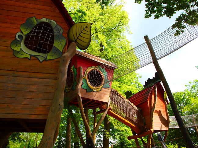 Hainich_Fagati_2020__167_