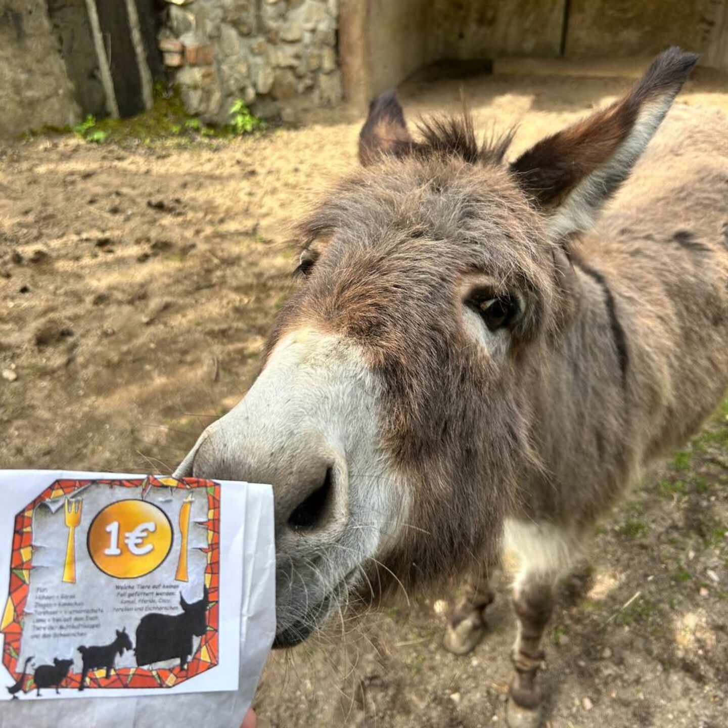 photo_3_2025-05-08_10-29-51